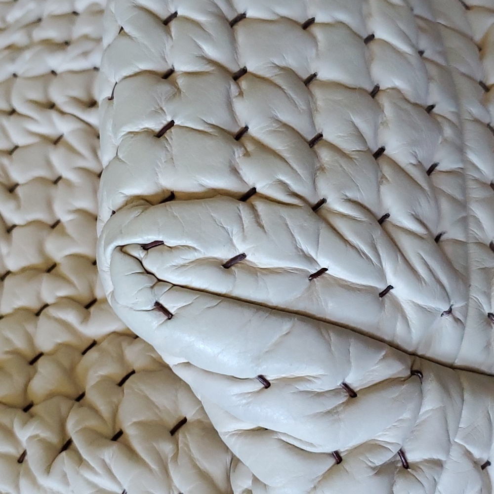 EUC Bottega Veneta Quiet Luxury Bag - Picture 8 of 16